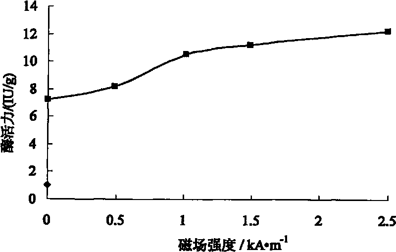 Method for improving enzymatic activity and utilization rate of immobilized enzymes in alternating magnetic filed three-phase fluidized bed