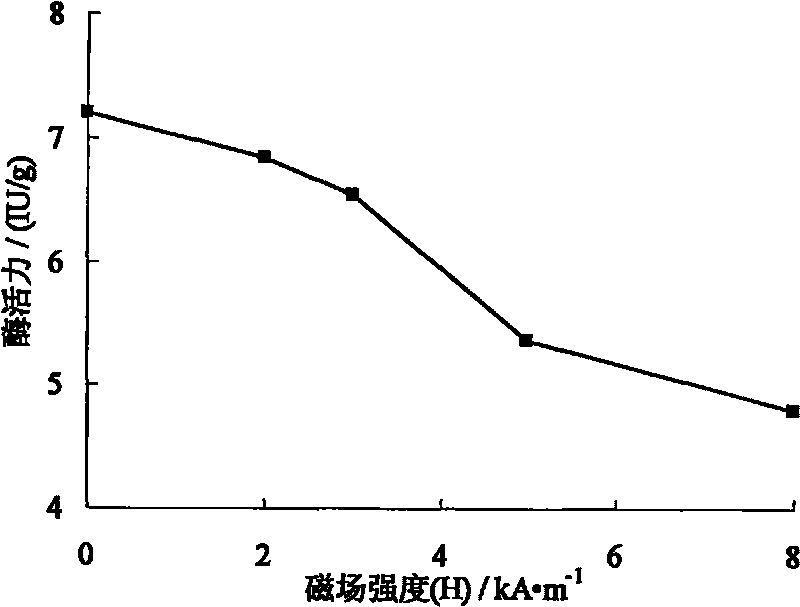 Method for improving enzymatic activity and utilization rate of immobilized enzymes in alternating magnetic filed three-phase fluidized bed