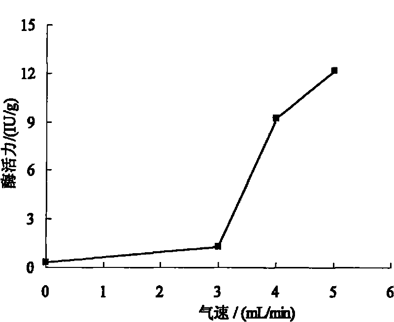 Method for improving enzymatic activity and utilization rate of immobilized enzymes in alternating magnetic filed three-phase fluidized bed