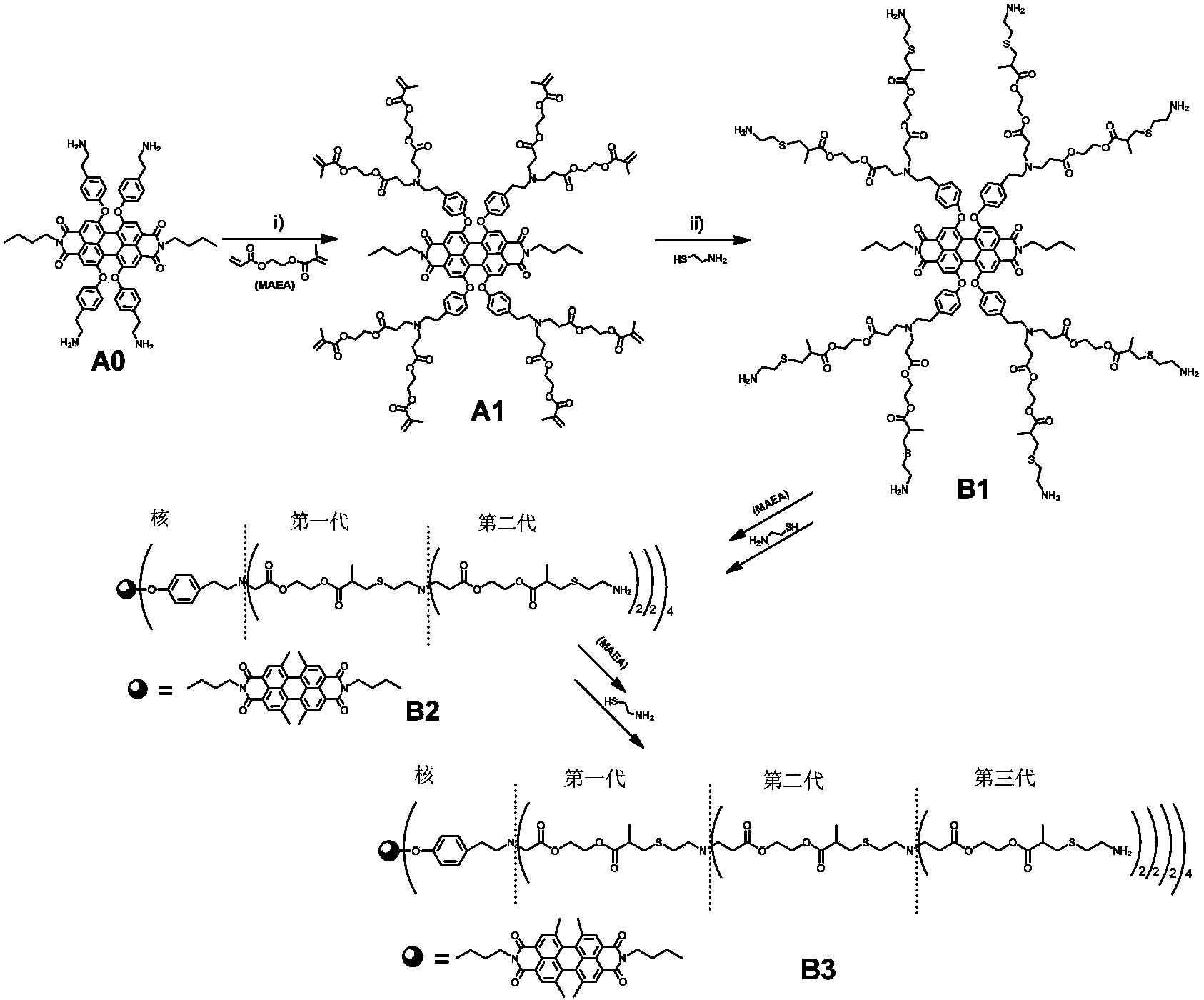 Synthetic method and application of water-soluble fluorescent dendrimers