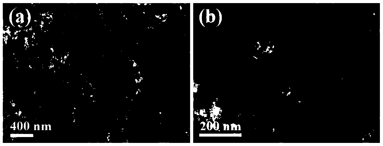 Gold-copper-boron porous network structure electrocatalyst and production method thereof