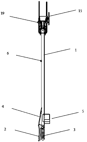 Pineapple auxiliary picking device