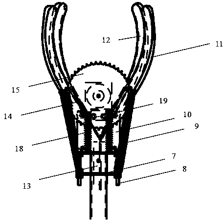 Pineapple auxiliary picking device