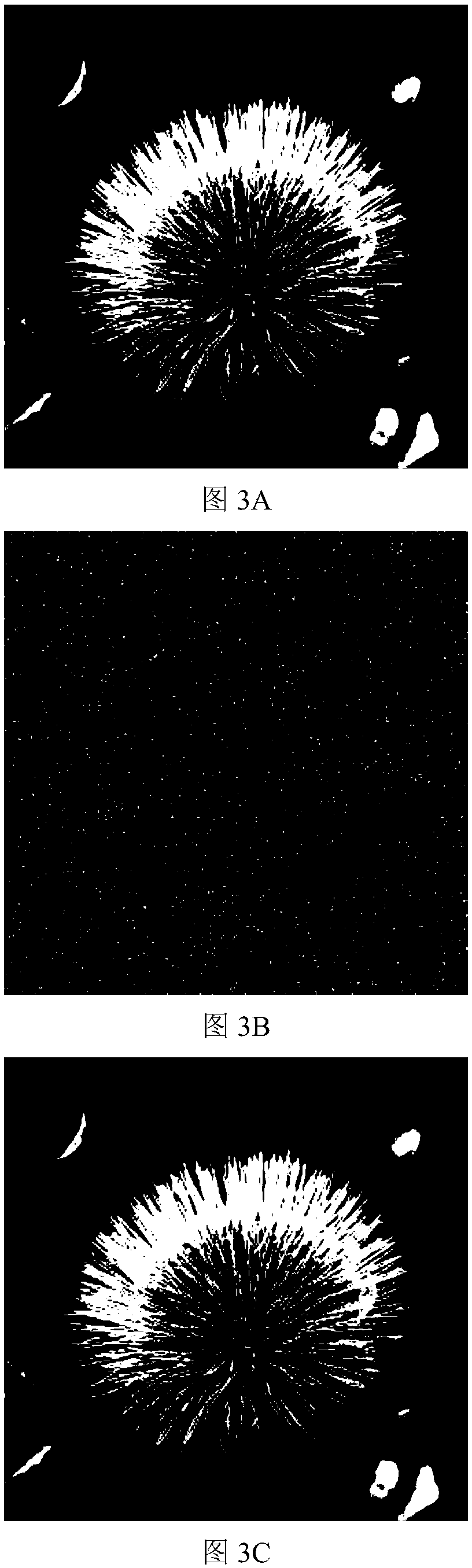 Optical image encryption and decryption based on composite chaos and quantum chaos