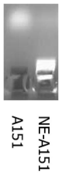 Microemulsion-based vaccine delivery system, preparation method and application thereof