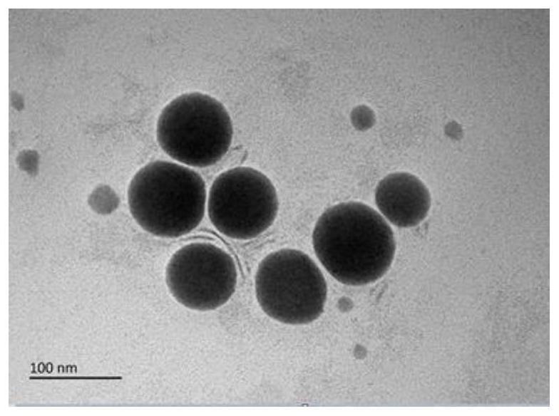 Microemulsion-based vaccine delivery system, preparation method and application thereof