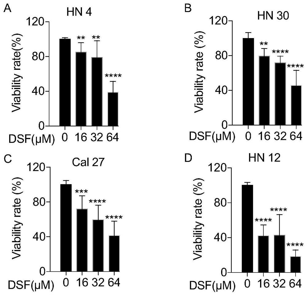 Application of disulfiram in preparation of drugs capable of resisting head and neck cancer and fibrosis