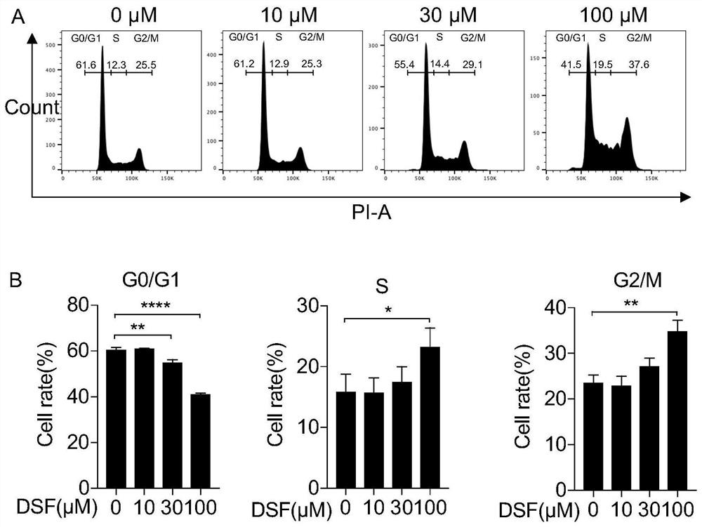 Application of disulfiram in preparation of drugs capable of resisting head and neck cancer and fibrosis