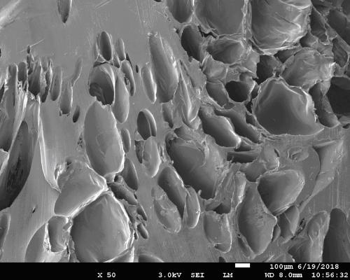 Preparation method of high melt strength polypropylene by solid phase reaction