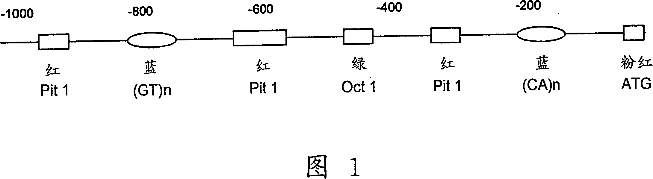 Method for identifying fast-growing fish in different salinity