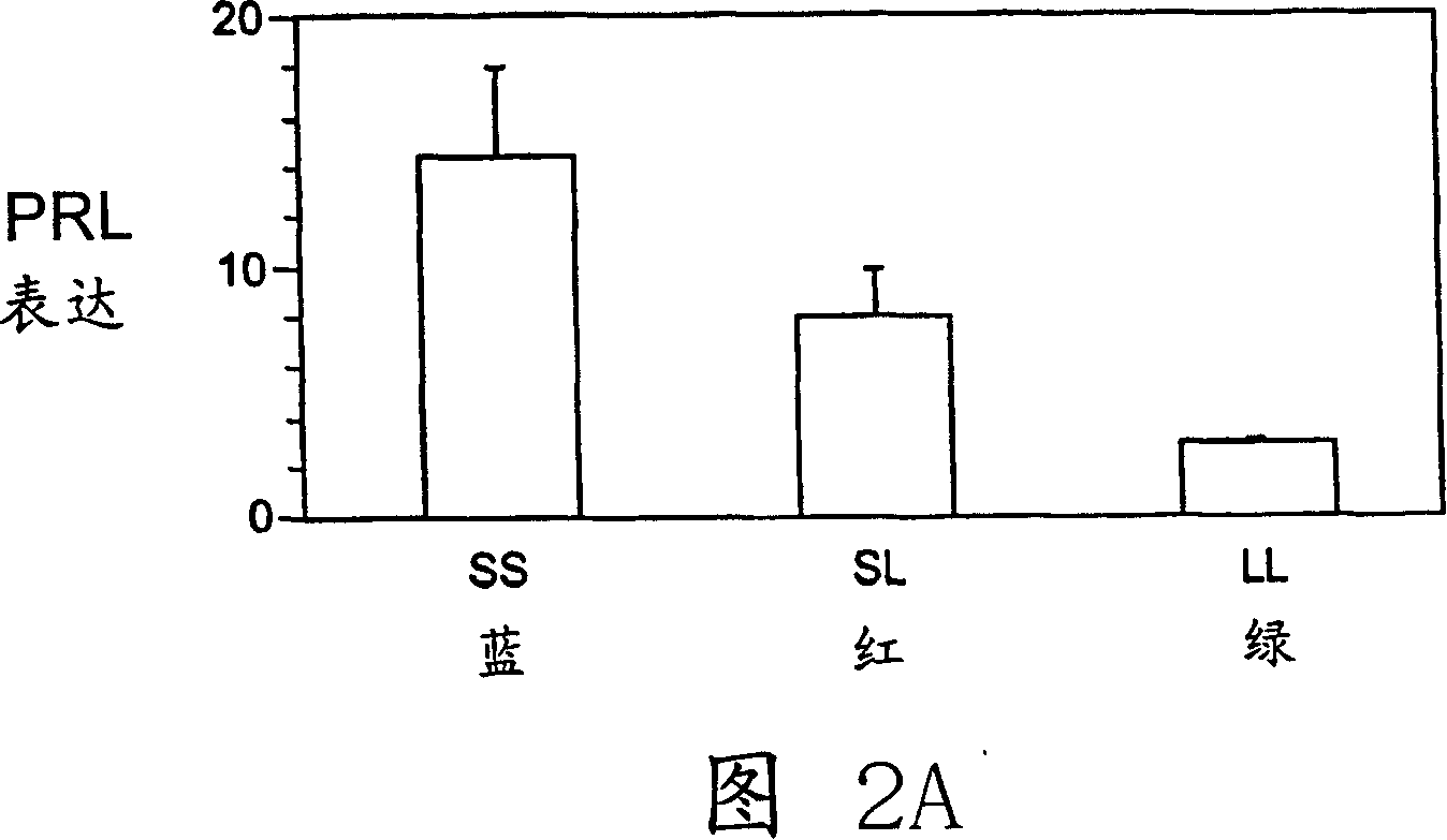 Method for identifying fast-growing fish in different salinity