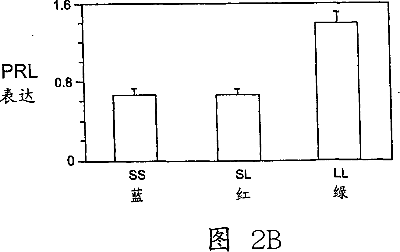 Method for identifying fast-growing fish in different salinity