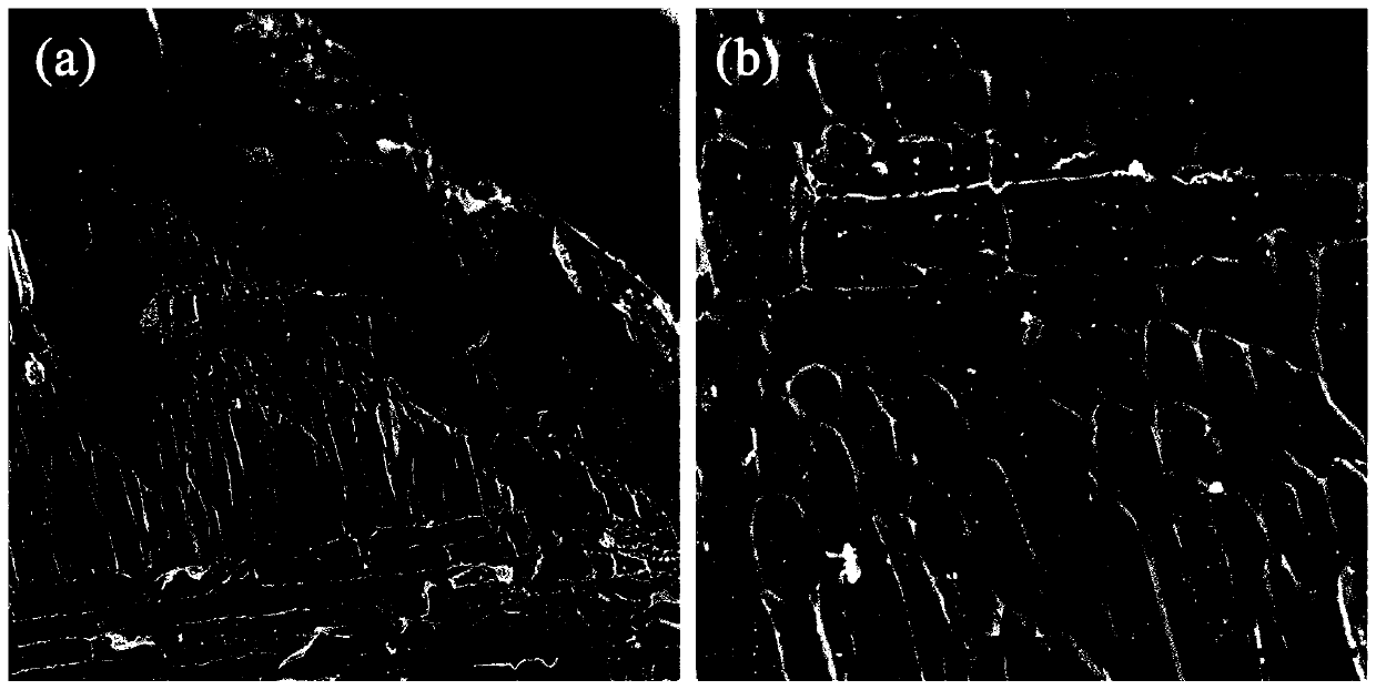 Oriented multi-channel carbonized wood interlayer and preparation method and application thereof