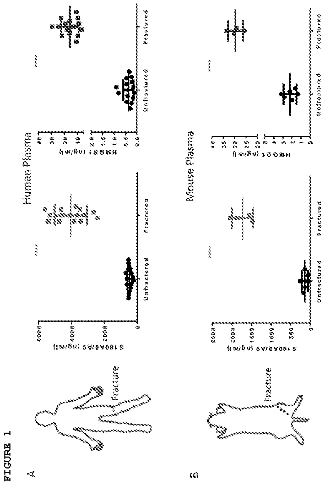 Prophylactic uses of partially or fully reduced forms of hmgb1 prior to injury