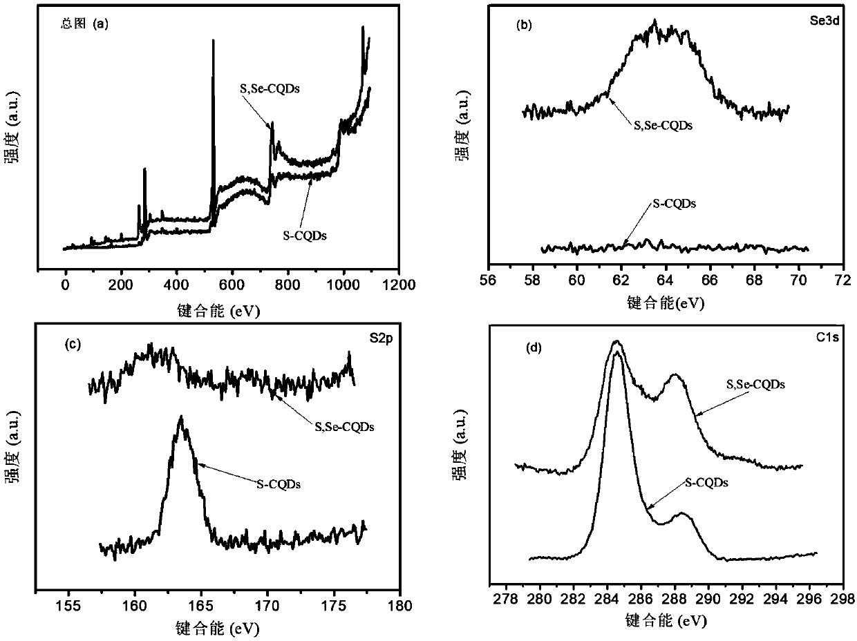 Green and environment-friendly hair shaping and finishing agent as well as preparation method and application thereof