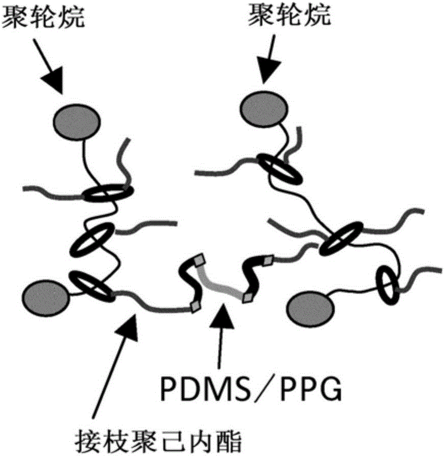 Composition Including Polyrotaxane And Utilization Object Thereof