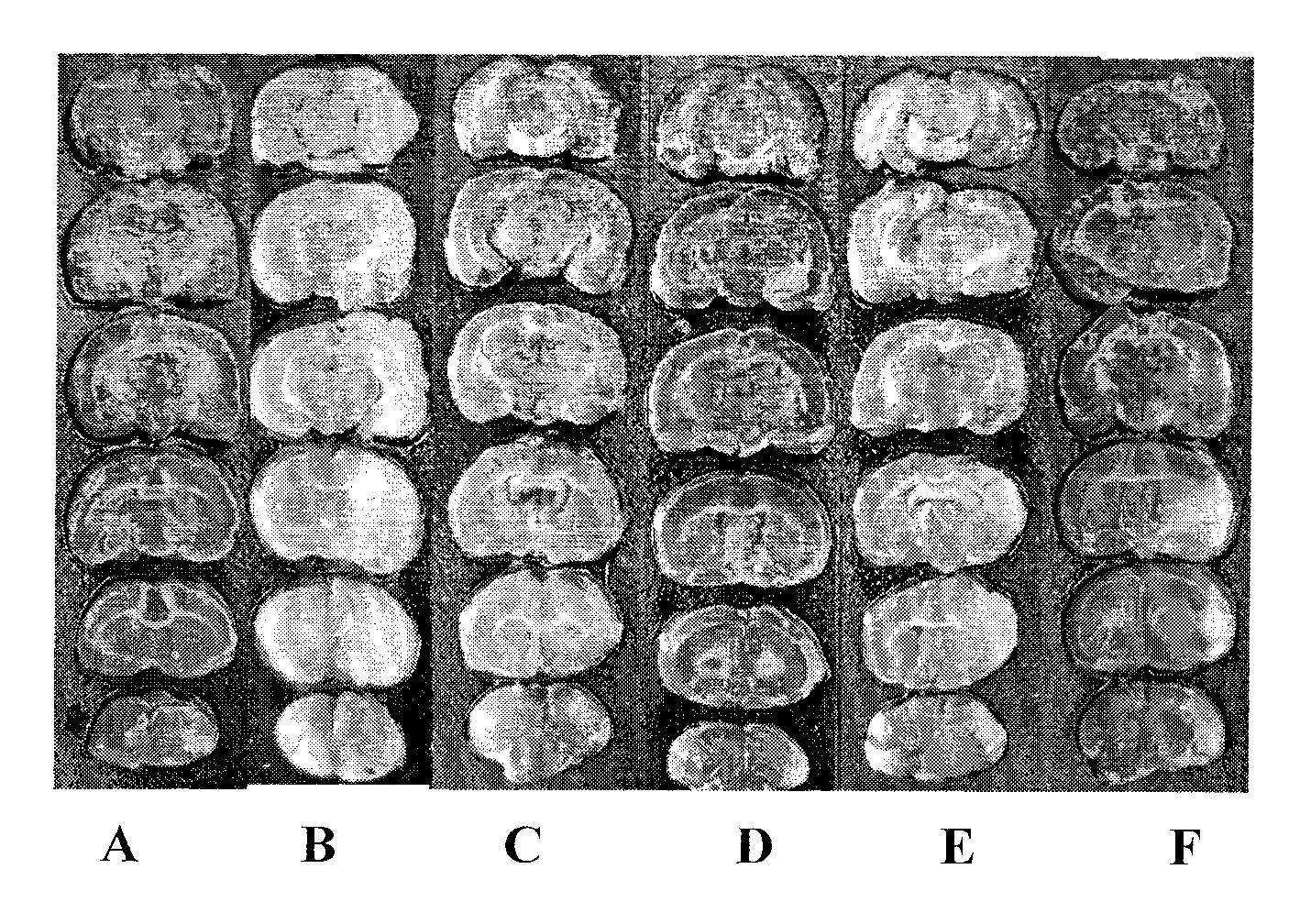 Chinese medicine compound or composition of its extract and application thereof