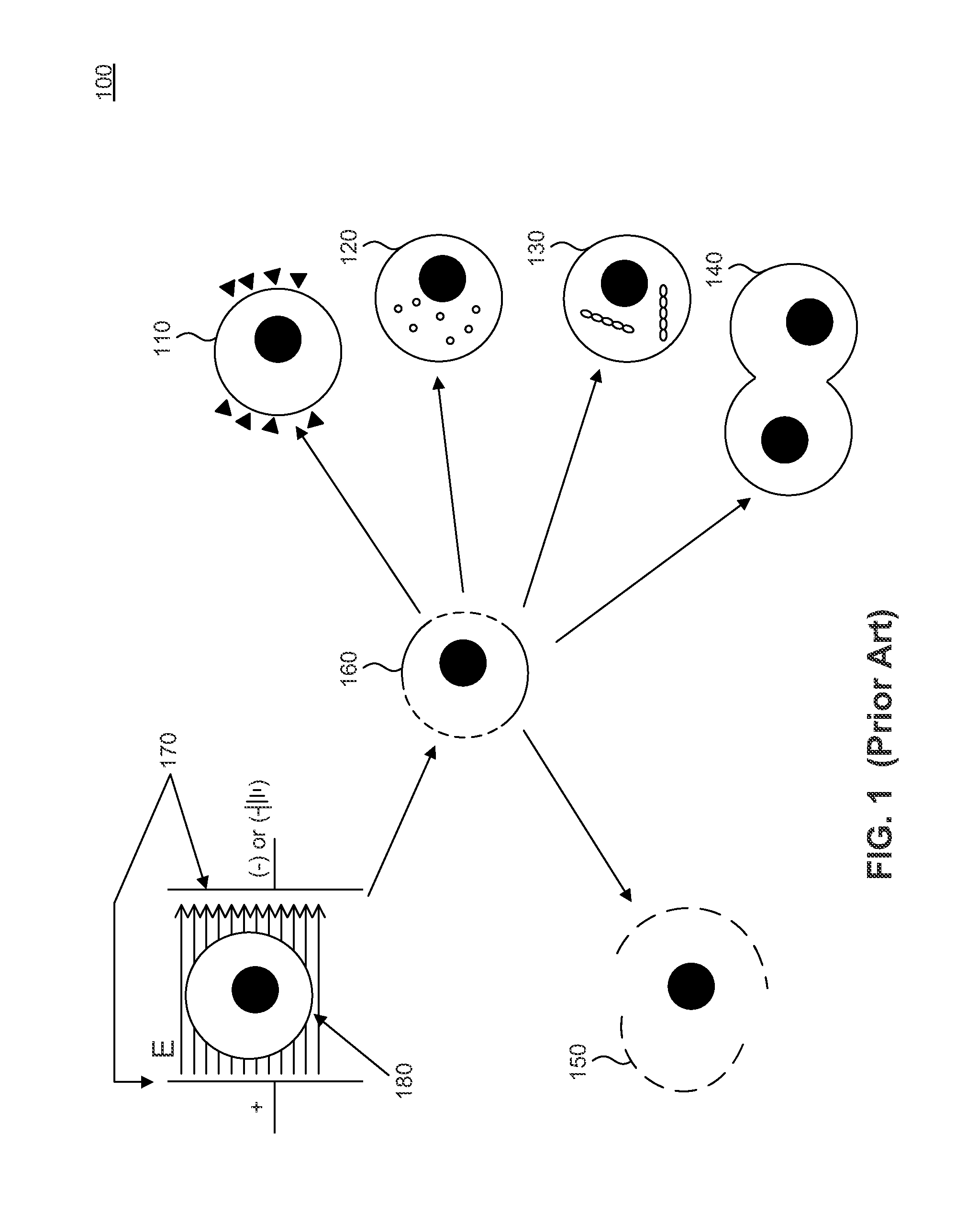 Cold Plasma Electroporation of Medication and Associated Methods