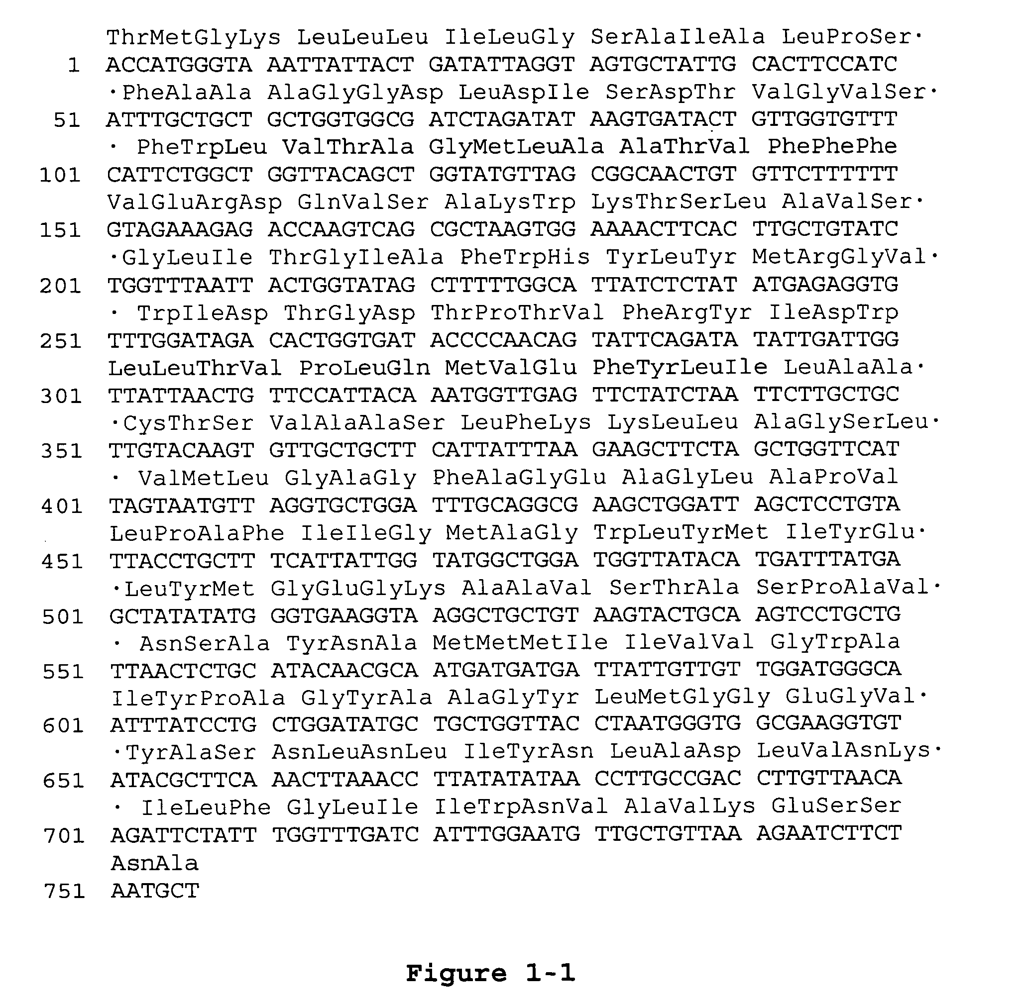 Proteorhodopsin mutants with improved optical characteristics