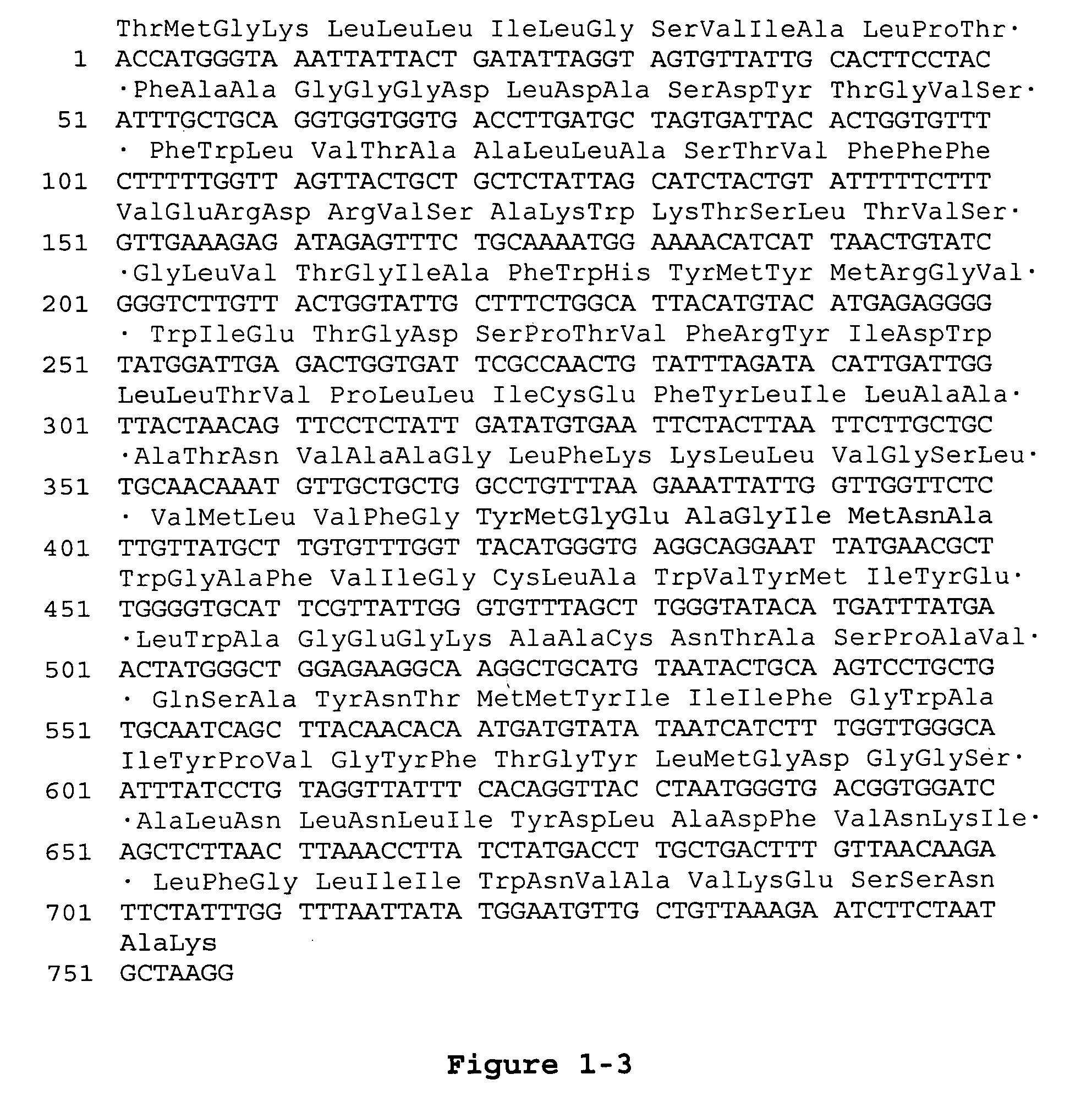 Proteorhodopsin mutants with improved optical characteristics