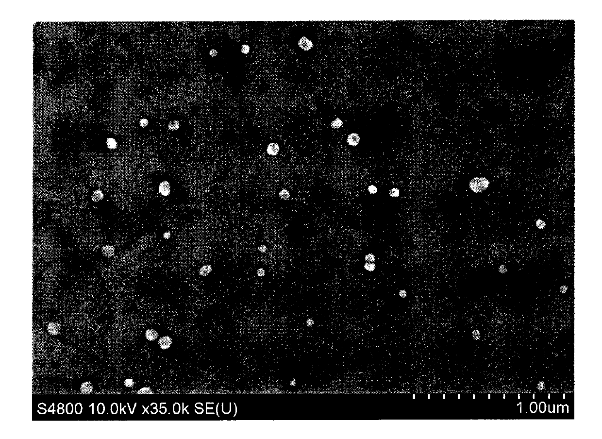 Nanoparticle preparation method and nanoparticles prepared by method thereof