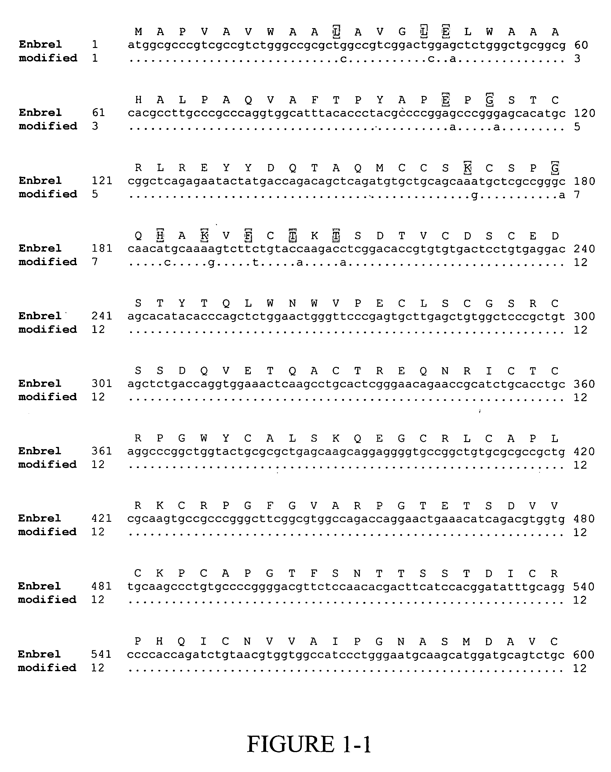 Gene expression system based on codon translation efficiency