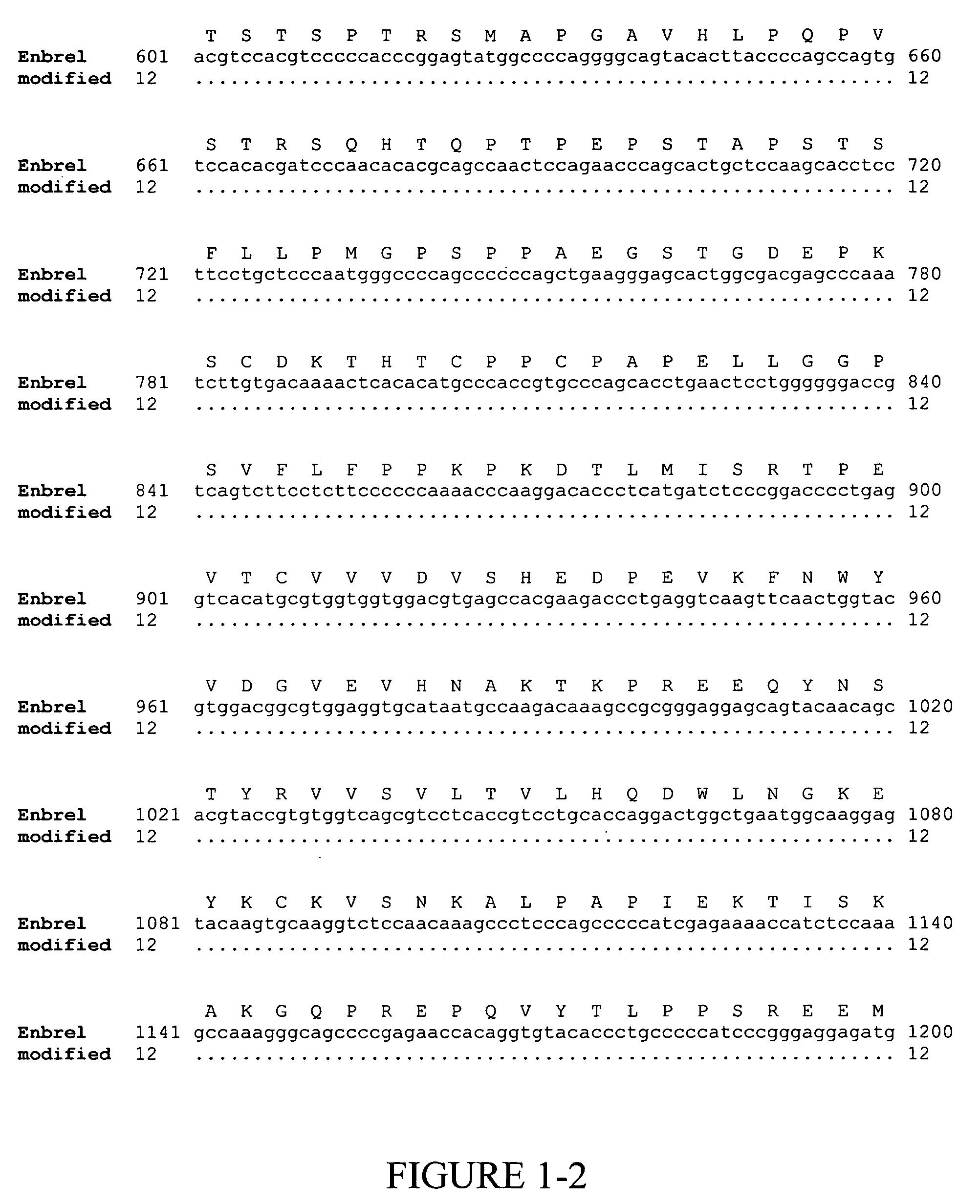 Gene expression system based on codon translation efficiency