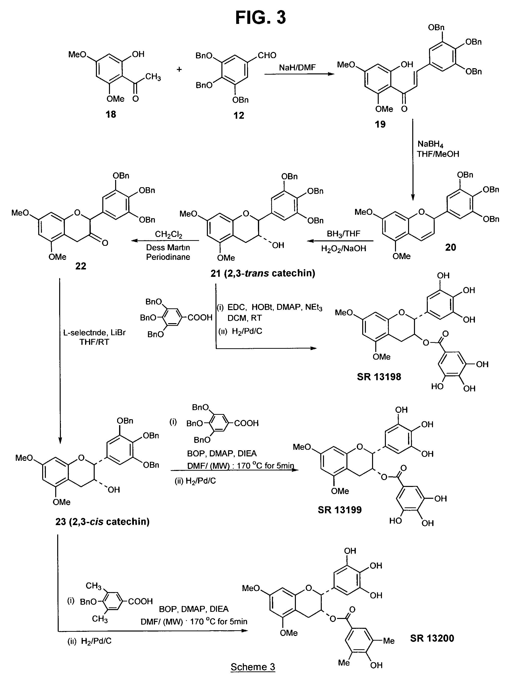 Analogs of green tea polyphenols as chemotherapeutic and chemopreventive agents