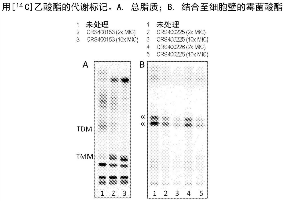 Novel antimycobacterial heterocyclic amides