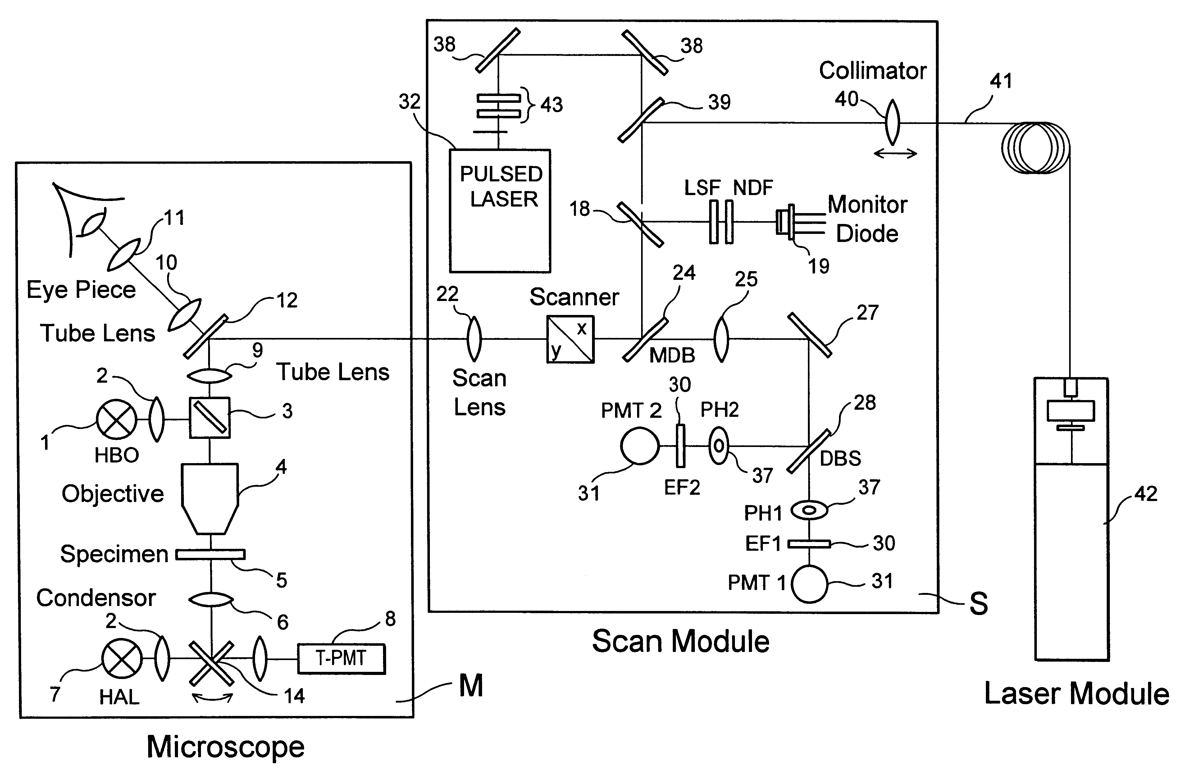 Highly compact laser scanning microscope with integrated short-pulse laser