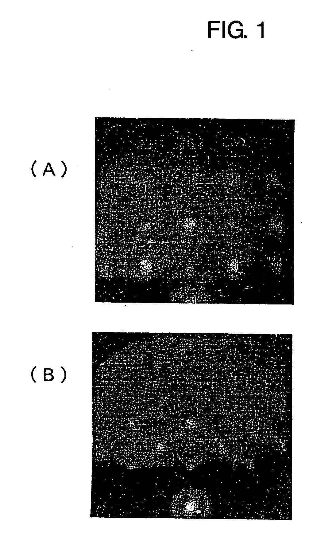 Gallium oxide single crystal composite, process for producing the same, and process for producing nitride semiconductor film utilizing gallium oxide single crystal composite