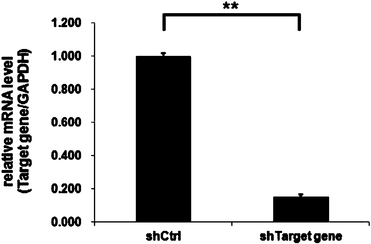 Purpose of BTG3 gene and its related drug