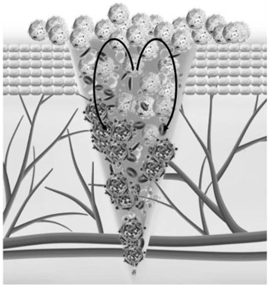 A kind of preparation method of hemostatic agent with diffusion mixing function