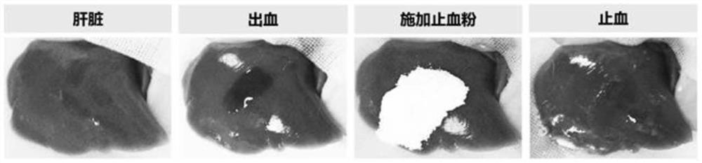 A kind of preparation method of hemostatic agent with diffusion mixing function