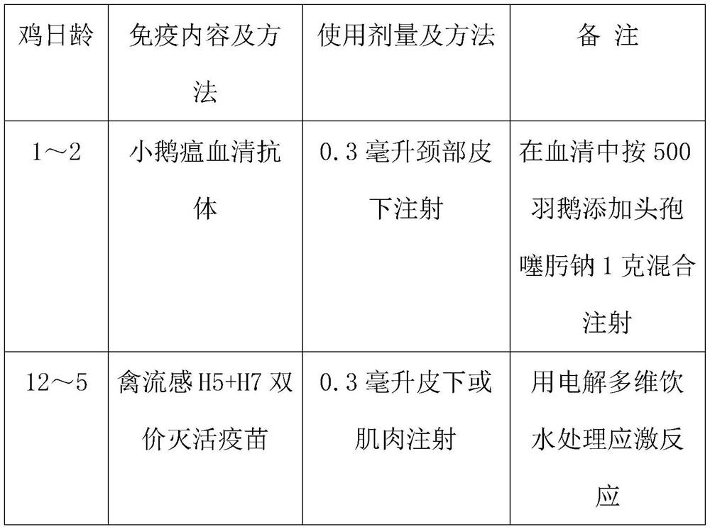 Under-forest ecological breeding method for geese