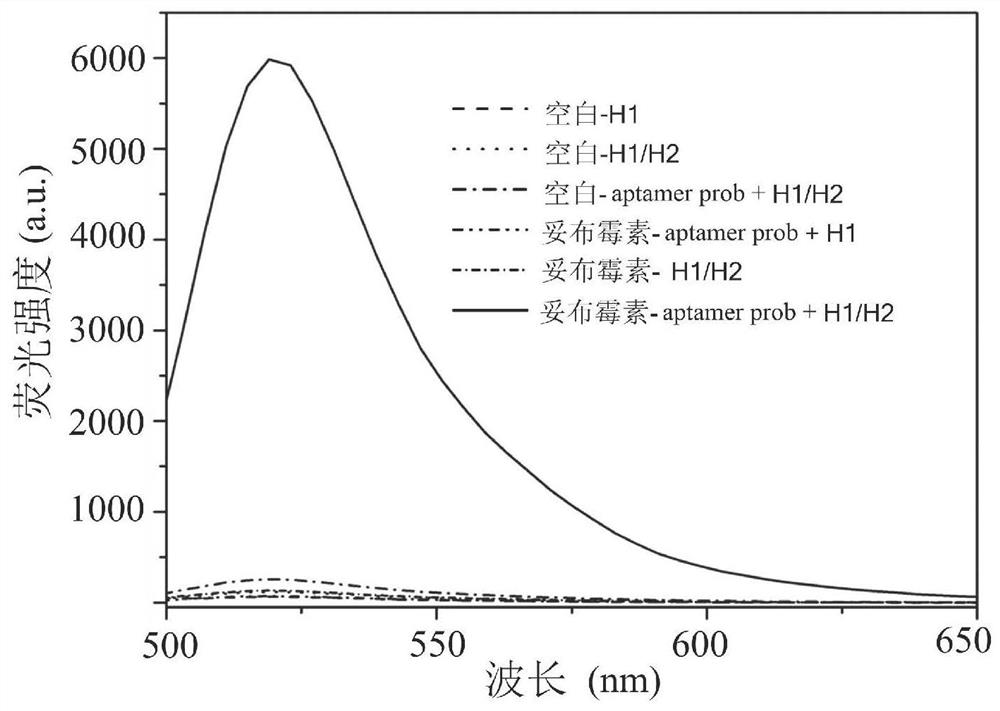 Biosensor for detecting tobramycin and detection method