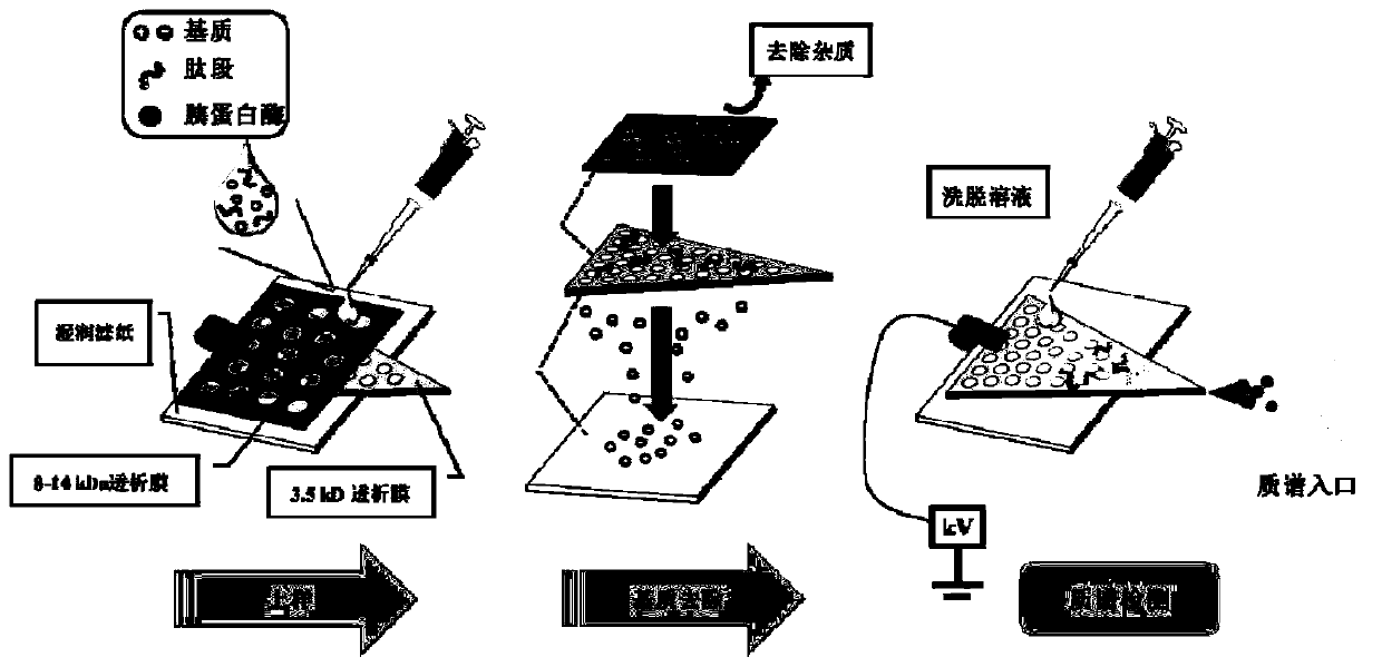 Qualitative and quantitative detection method of bacterial ab5 enterotoxin protein