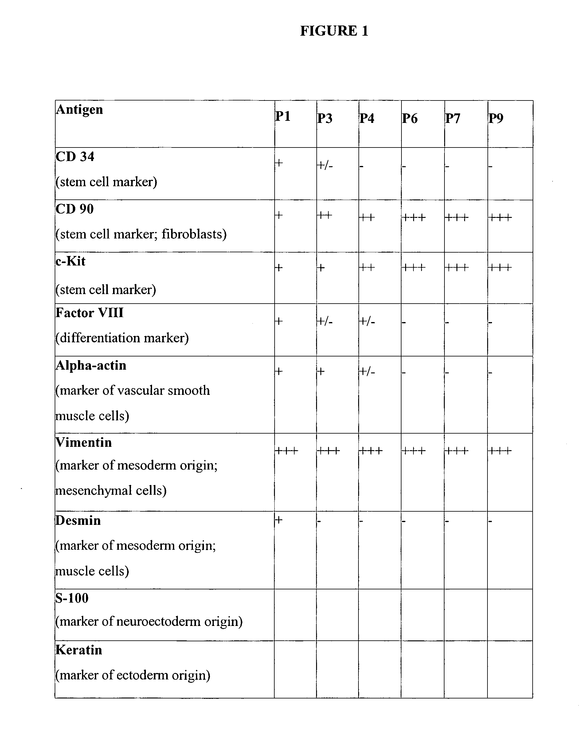 Uses of mesenchymal stem cells