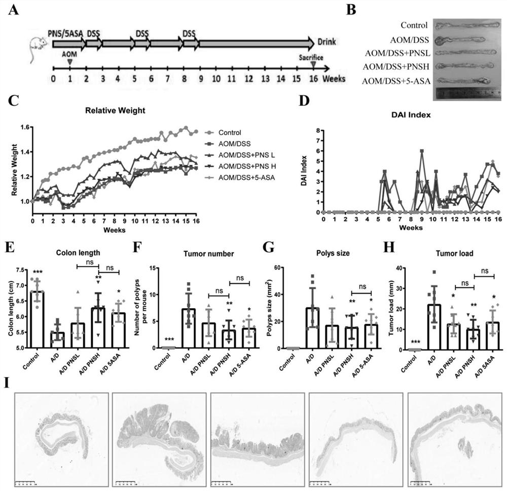 Application of panax notoginseng saponins in preparation of medicine for treating colitis-related colon cancer