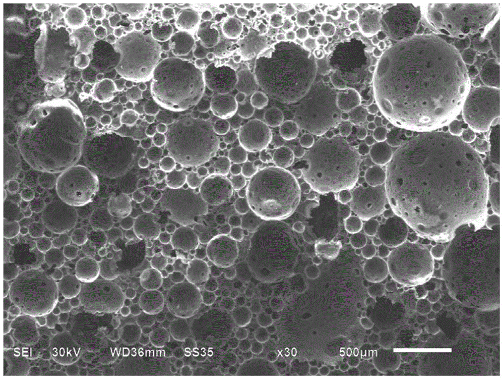 Metal nanoparticle-foamy carbon catalyst, and preparation method and application thereof