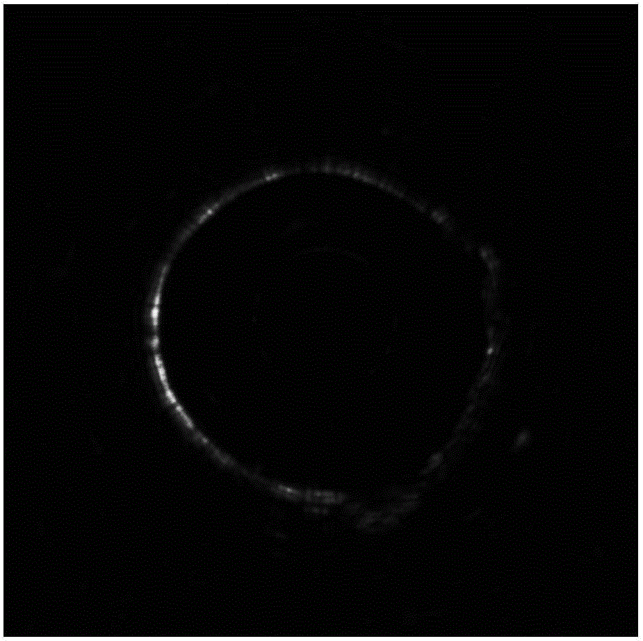 Integrated opto-acoustic, ultrasonic and opto-acoustic elastic endoscopic imaging device and method thereof