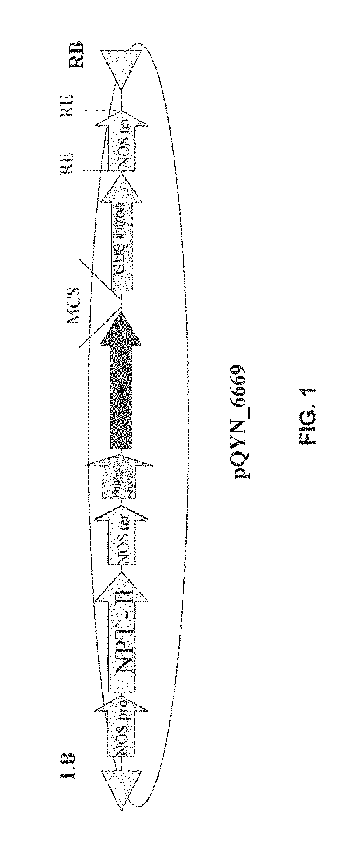 Isolated polynucleotides and polypeptides for increasing plant yield and/or agricultural characteristics