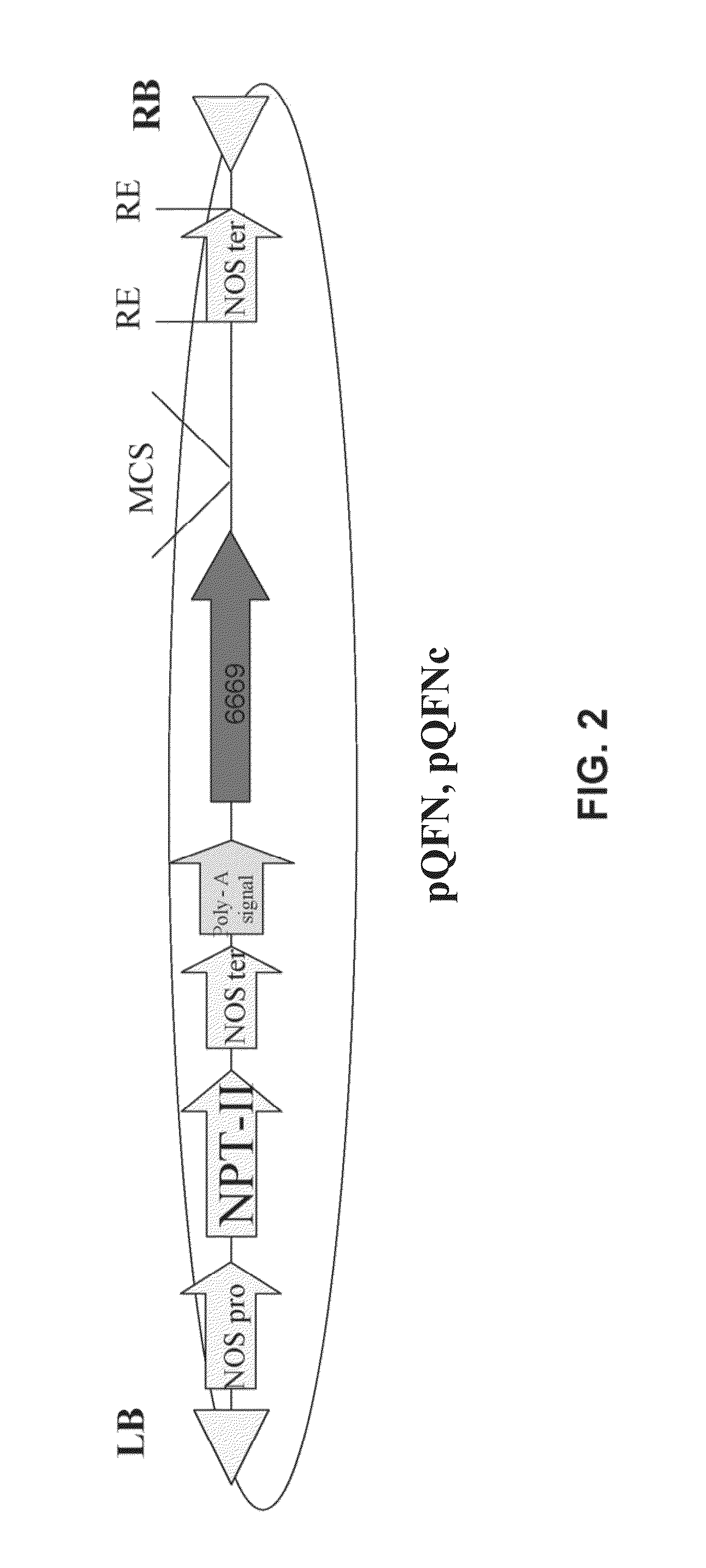 Isolated polynucleotides and polypeptides for increasing plant yield and/or agricultural characteristics