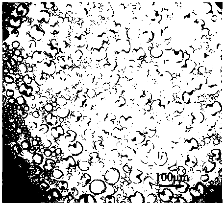 A kind of non-spherical microcapsule particle and preparation method thereof