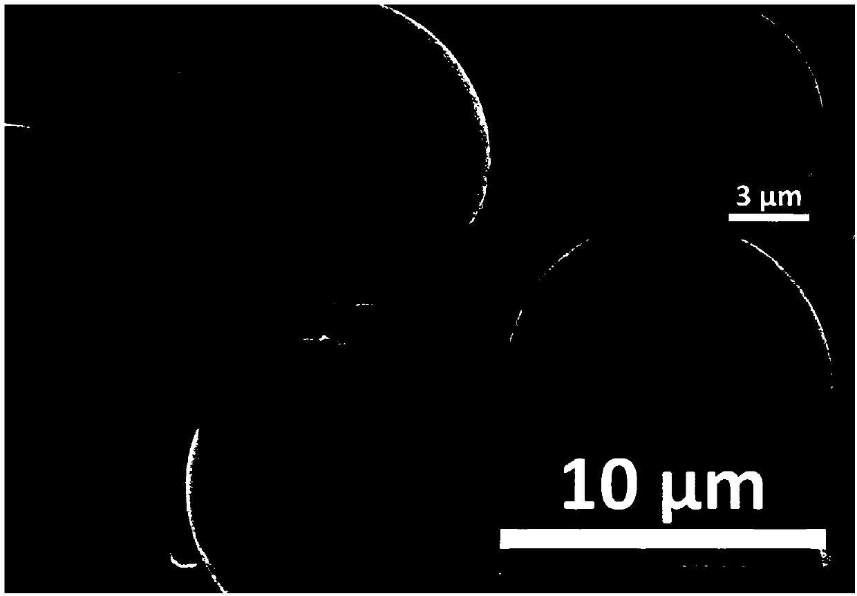 Method for preparing Janus particles based on lysozyme nano-film