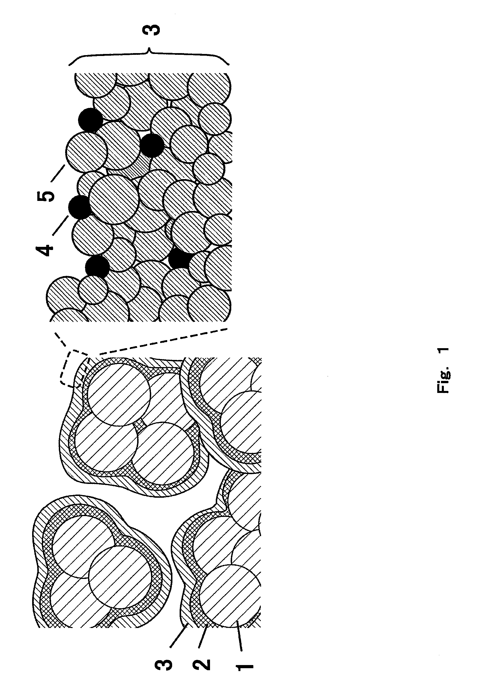 Fuel cell comprising oxygen electrode with surface nanostructure