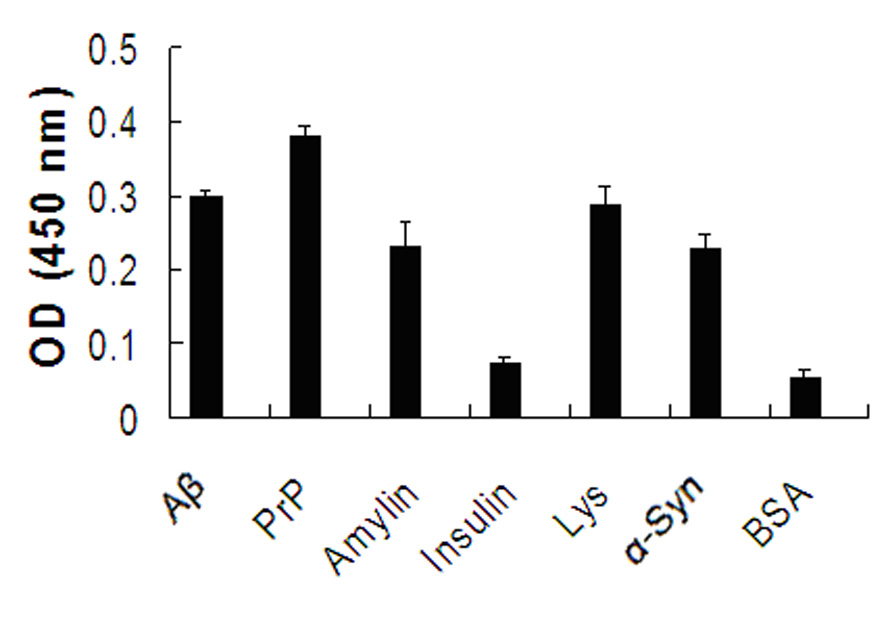 Polypeptide combined with various amyloid protein monomers simultaneously and application thereof