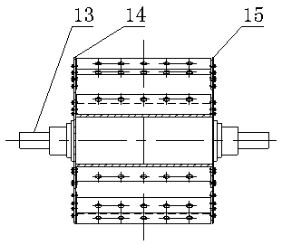 Rubbing and chopping device of greenfeed harvester