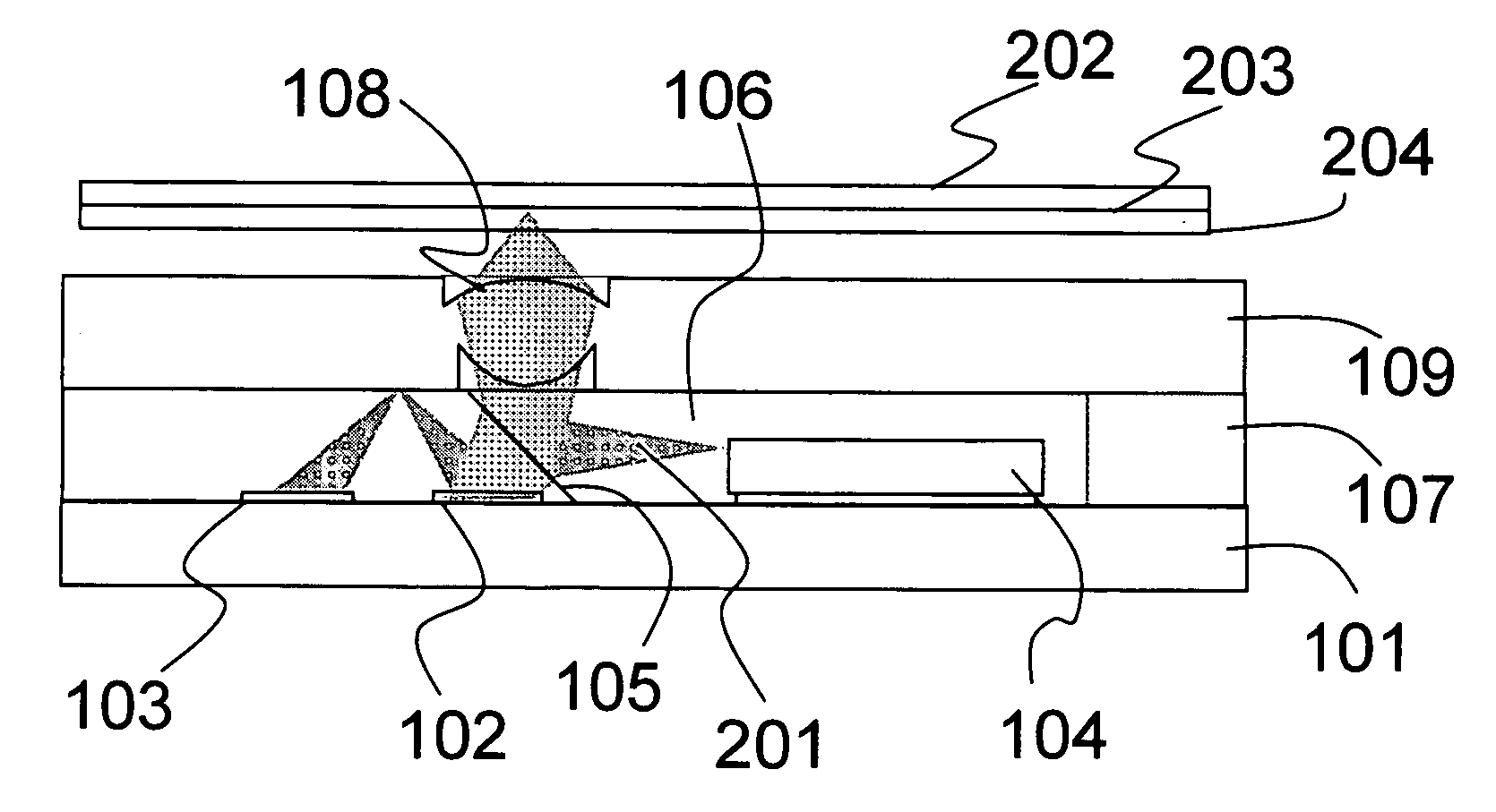 Optical head, optical information storage apparatus, and their fabrication method