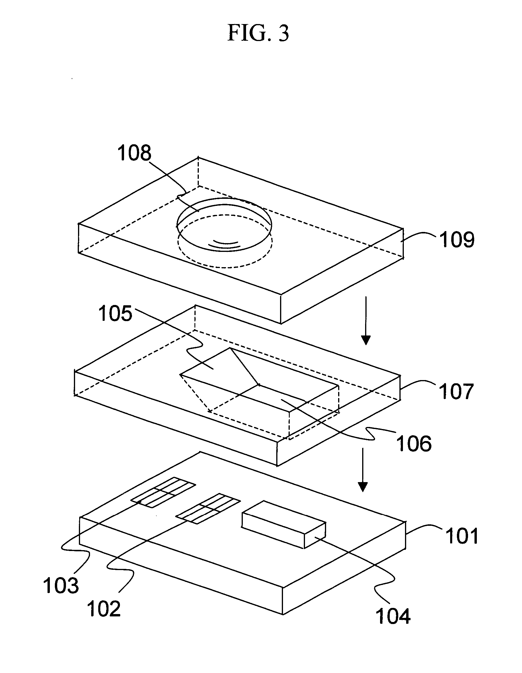 Optical head, optical information storage apparatus, and their fabrication method